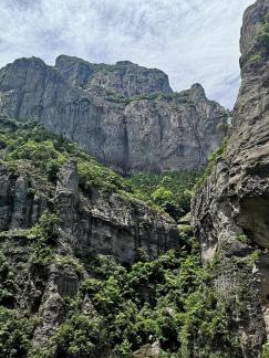 Green Wilderness and Tranquility 17