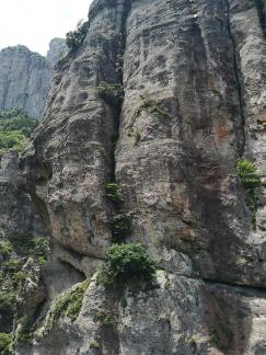 Green Wilderness and Tranquility 18