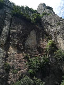 Green Wilderness and Tranquility 19