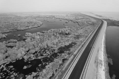 Ice Lake Reed Path Book 3