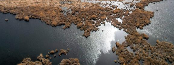 The vast expanse of reed marshes 16