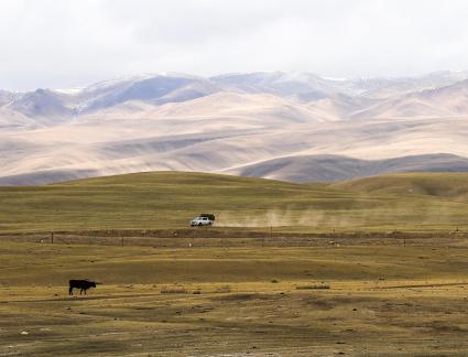 High mountain pasture 30