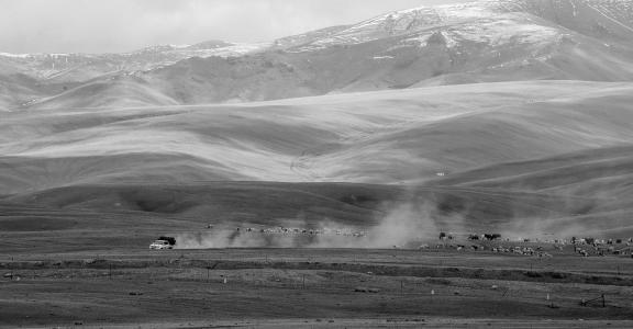 High mountain pasture 27