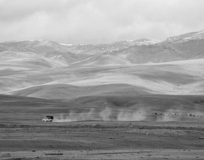 High mountain pasture 28