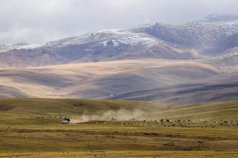 High mountain pasture 24