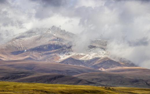 High mountain pasture 20