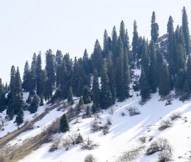 Snow on Cold Mountain 12