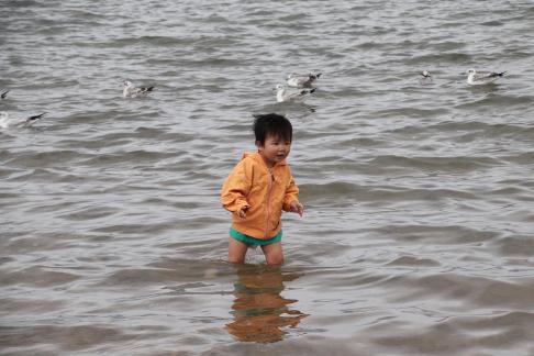 Dancing with seagulls 4