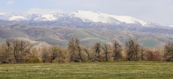 Autumn View of Cold Mountain 9