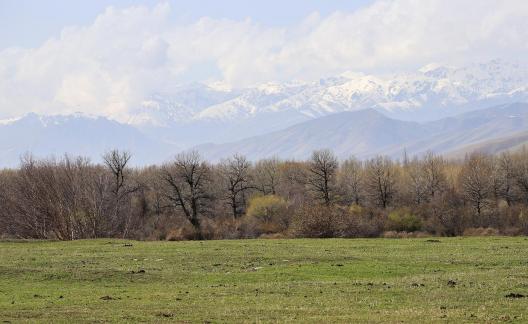 Autumn View of Cold Mountain 12