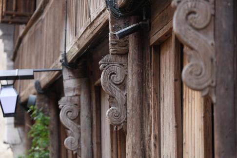 Flowers grow on wood