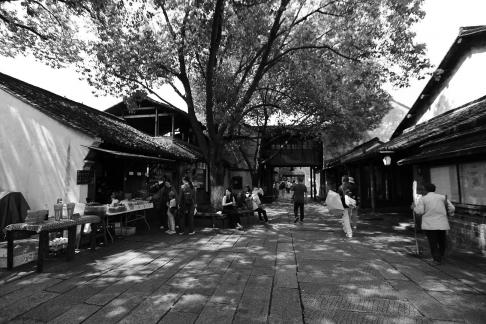 Jiangnan Rain Lane 6