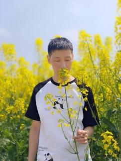 rape flowers 2