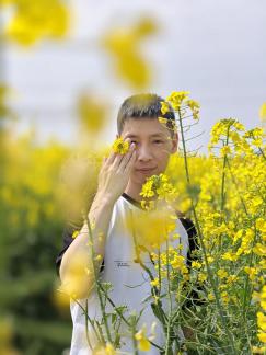 rape flowers 3