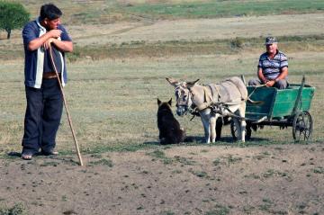 Village life
