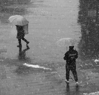 Snowflakes Dancing in the World 70