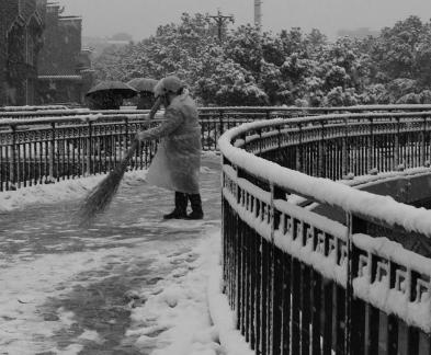 Snowflakes Dancing in the World 72
