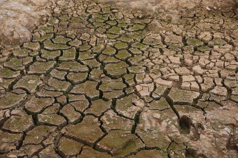 Dry land 1