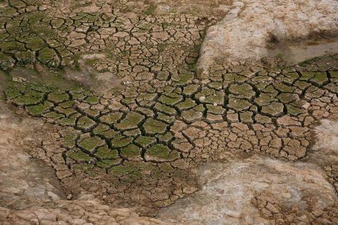 Dry land 2
