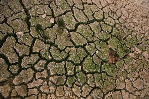 Dry land 4