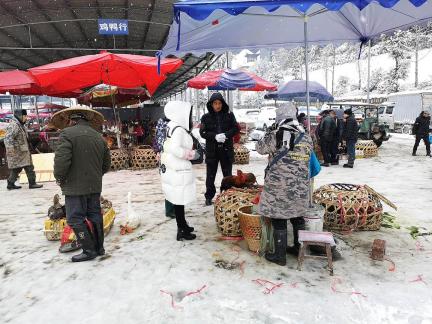 Snowy scenery 66