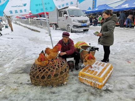 Snowy scenery 67