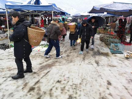 Snowy scenery 73