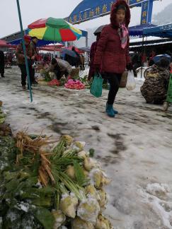 Snowy scenery 75