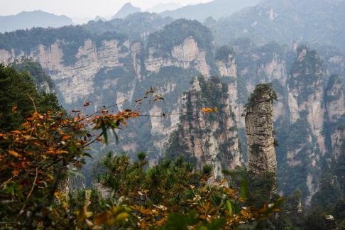 peak sequence 61