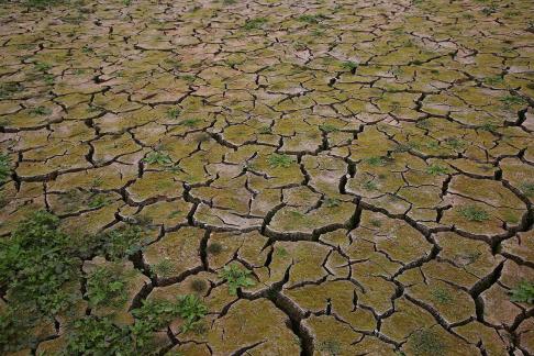 Cracked Earth 2
