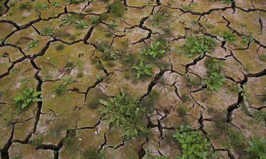 Cracked Earth 3