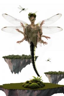 Dragonfly