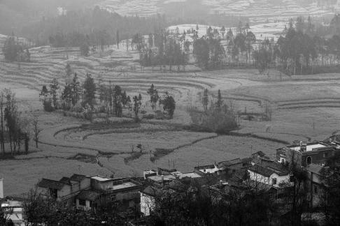 Spring scenery 10