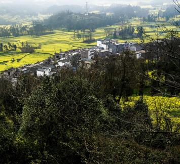 Spring scenery 14