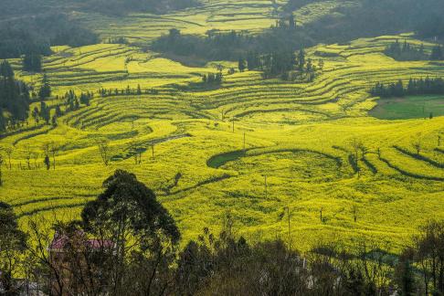 Spring scenery 15