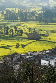 Spring scenery 16
