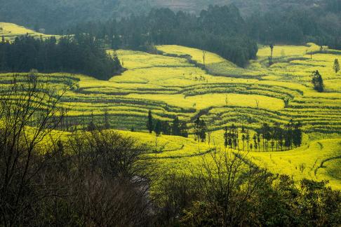 Spring scenery 17