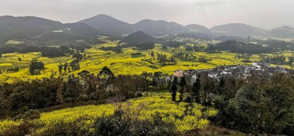 Spring scenery 18