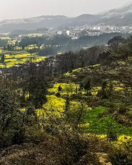Spring scenery 20
