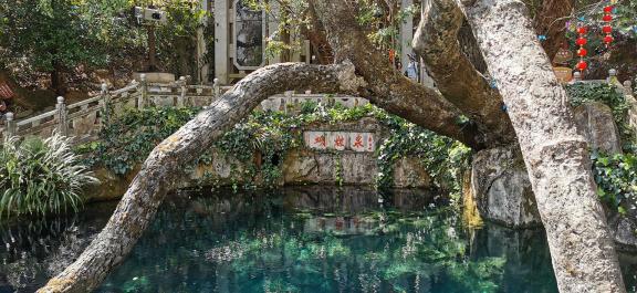 Beside Butterfly Spring