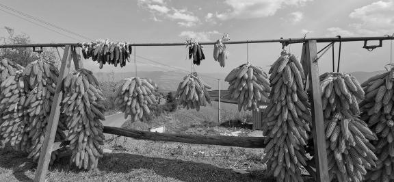 Harvest ornaments 2