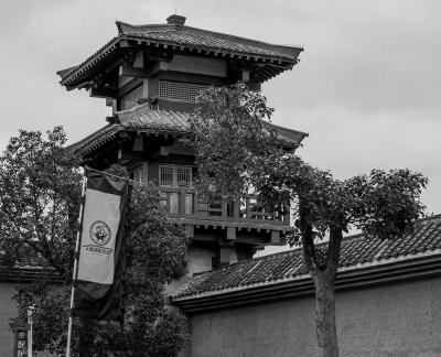 Qin and Han Palace Quets 10