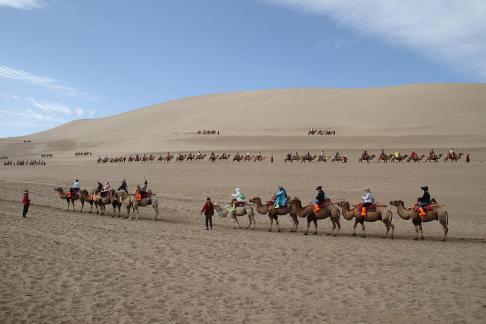 Desert Journey 70