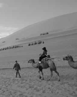 Desert Journey 65