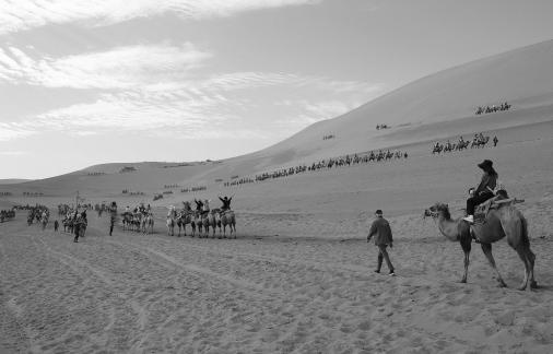 Desert Journey 66