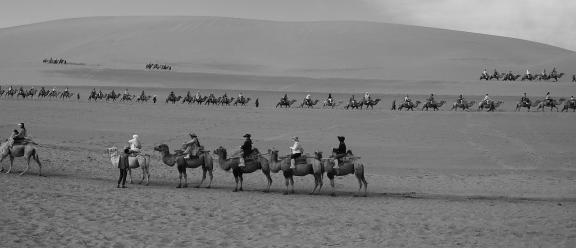 Desert Journey 67