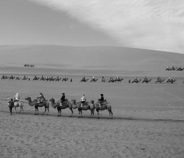 Desert Journey 68