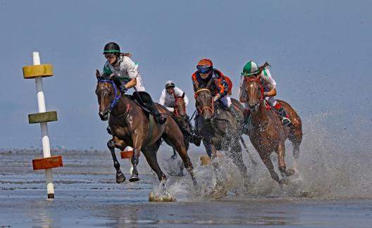 pursuit in mud