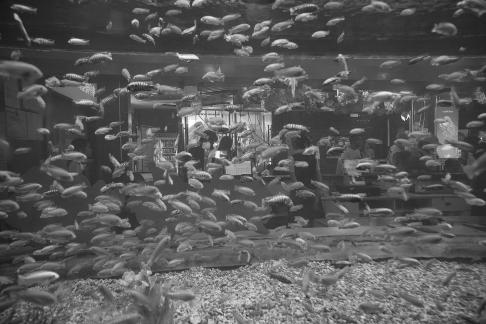 Aquarium Tour 49