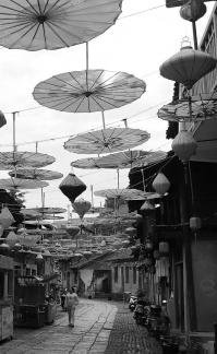 An oil paper umbrella in a lane 5